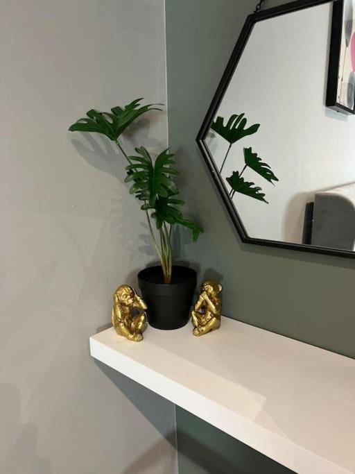 Peaceful & Stylish Brighton Studio Apartment Екстериор снимка